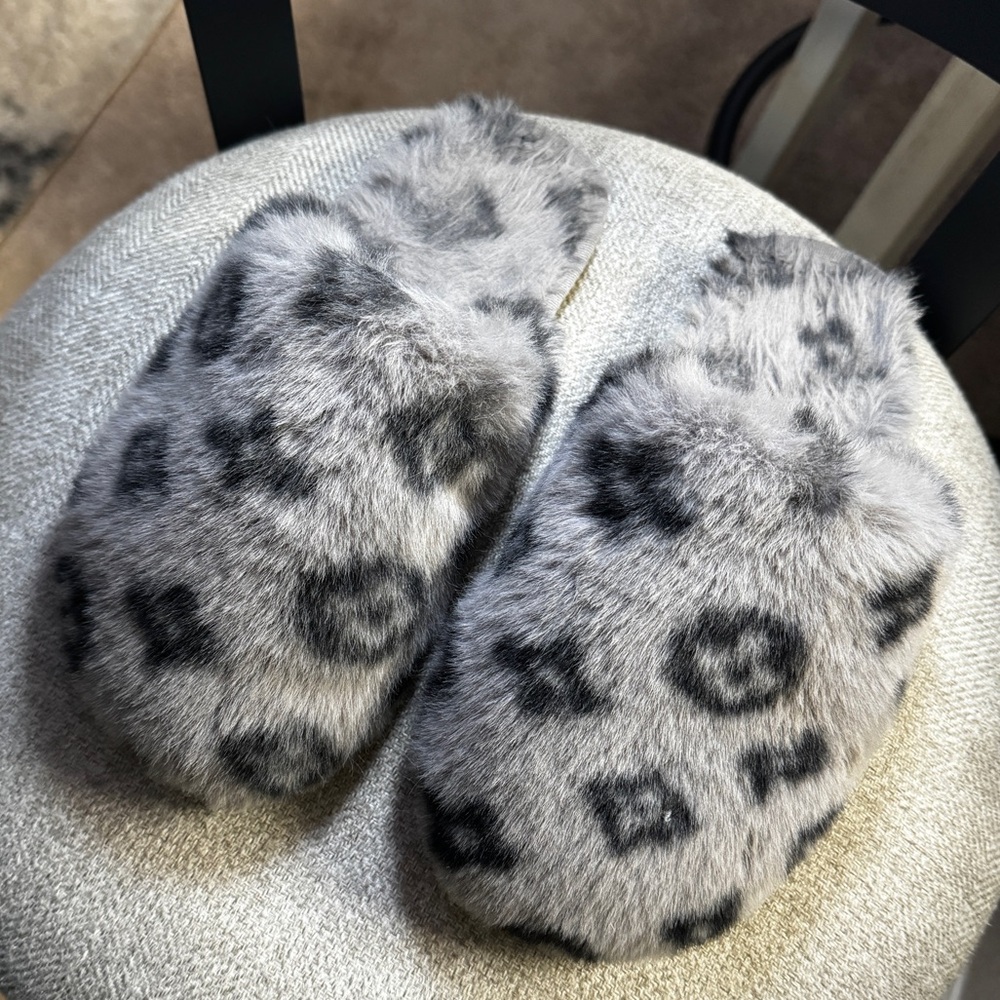 Louis Vuitton PRINTED Slippers
